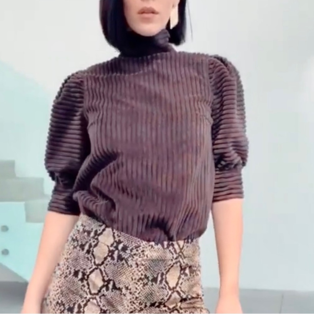 Authentic Dolce and Gabbana brown puffed quarter sleeve top